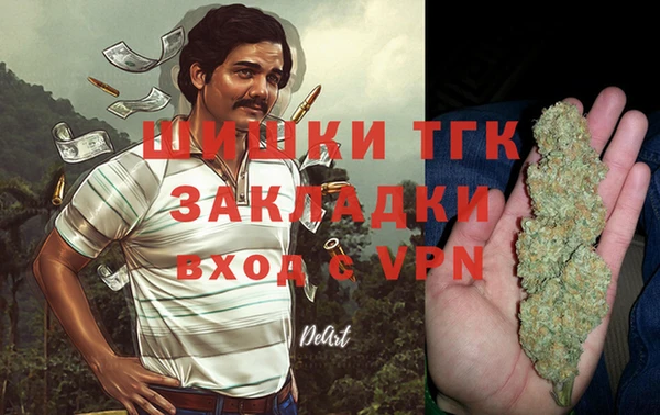 тгк Алзамай