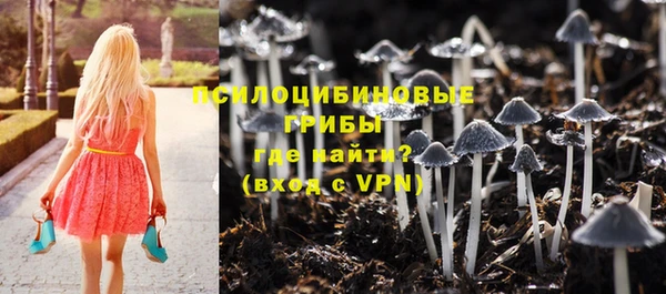 кокс Липки