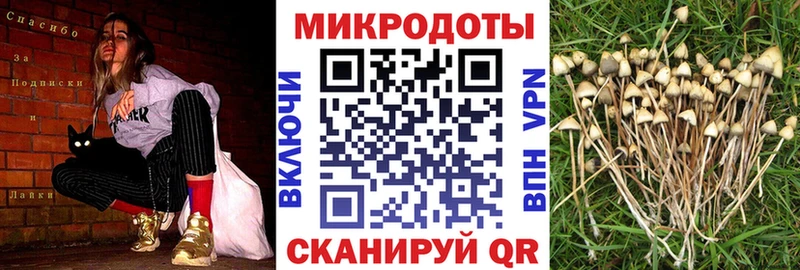 Псилоцибиновые грибы Cubensis  Пролетарск 